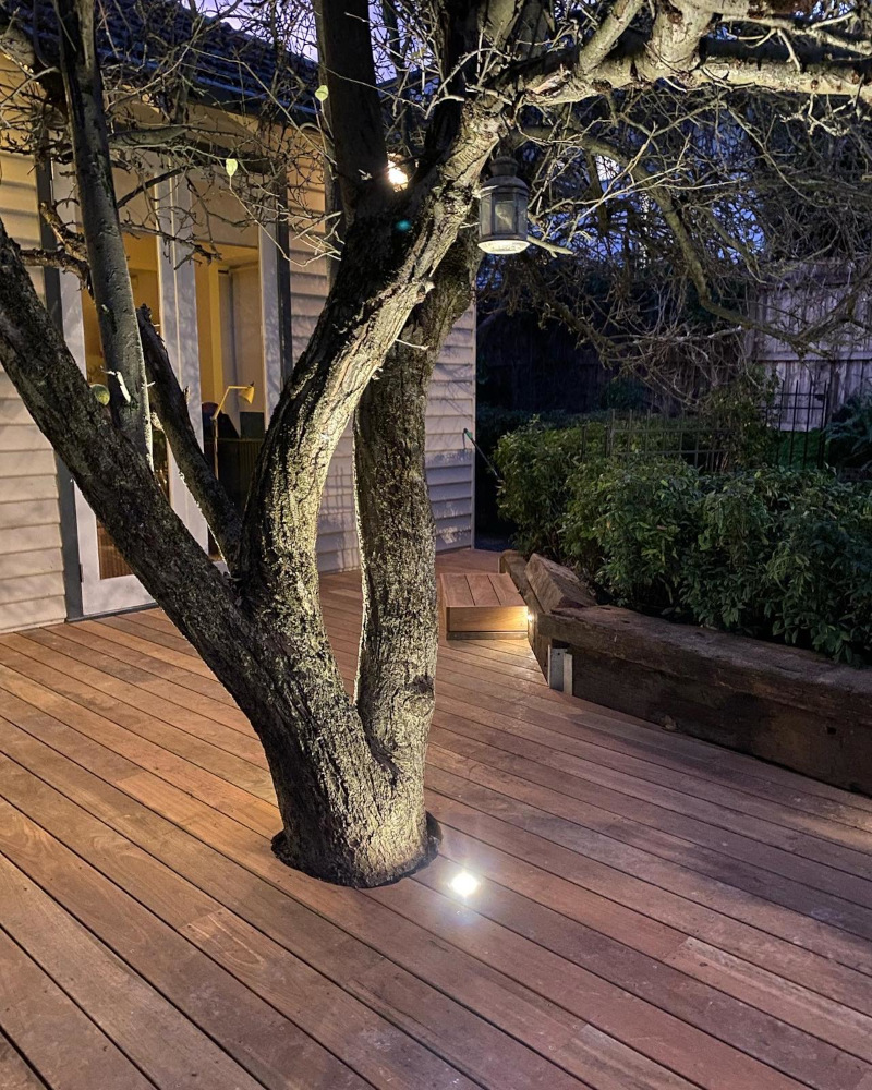 decking built around tree